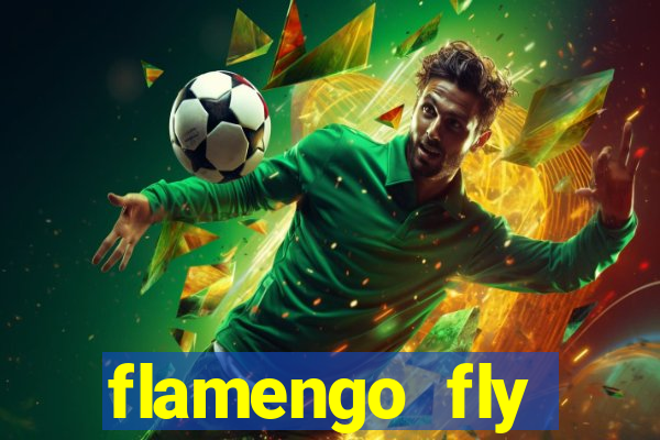 flamengo fly emirates ultimas noticias